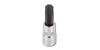 Padrun TORX  1/4" T15
