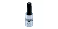 Padrun TORX  1/4" T30H TX tamperproof