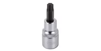Padrun TORX  1/2" T40