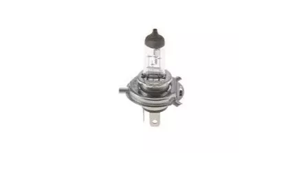BOSCH H4