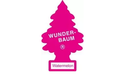 ILMANRAIKASTIN VESIMELONI WUNDER-BAUM