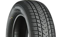 Gripmax Suregrip Ewinter